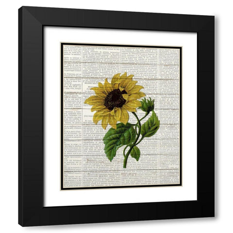 Sunflower Print 3 Black Modern Wood Framed Art Print with Double Matting by Bailey, Ann