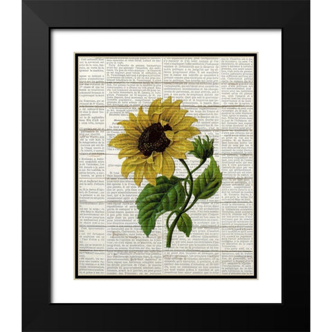 Sunflower Print 3 Black Modern Wood Framed Art Print with Double Matting by Bailey, Ann