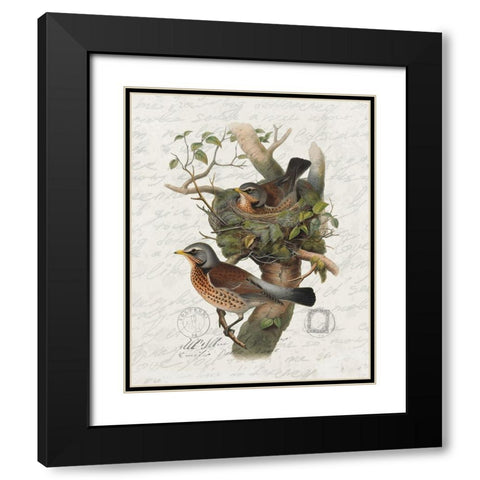 Nesting 1 Black Modern Wood Framed Art Print with Double Matting by Bailey, Ann