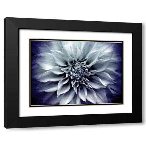 Amethyst Bloom Black Modern Wood Framed Art Print with Double Matting by Bailey, Ann