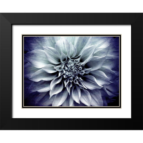 Amethyst Bloom Black Modern Wood Framed Art Print with Double Matting by Bailey, Ann