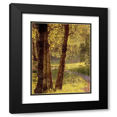 Sunlit Path 1 Black Modern Wood Framed Art Print with Double Matting by Bailey, Ann