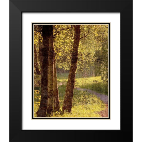 Sunlit Path 1 Black Modern Wood Framed Art Print with Double Matting by Bailey, Ann