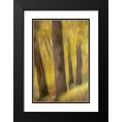 Autumns Edge Black Modern Wood Framed Art Print with Double Matting by Bailey, Ann