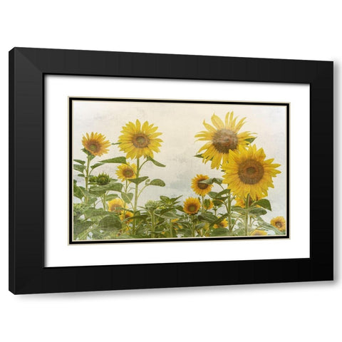 Sunny Mood Black Modern Wood Framed Art Print with Double Matting by Bailey, Ann