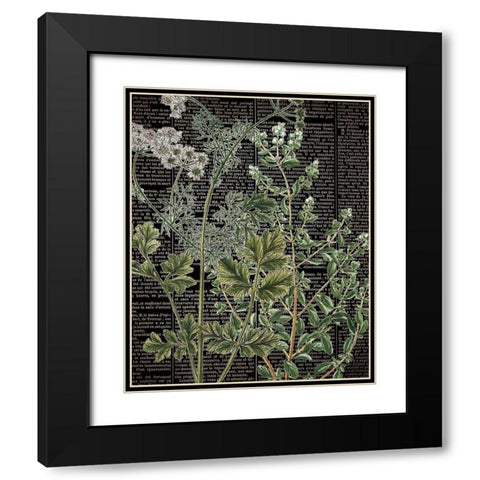 Botanical Newspaper 1 Black Modern Wood Framed Art Print with Double Matting by Bailey, Ann