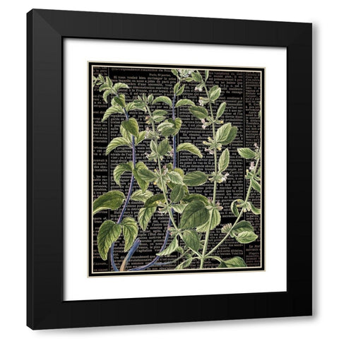 Botanical Newspaper 2 Black Modern Wood Framed Art Print with Double Matting by Bailey, Ann