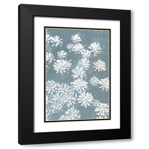 Blooms Falling Black Modern Wood Framed Art Print with Double Matting by Bailey, Ann