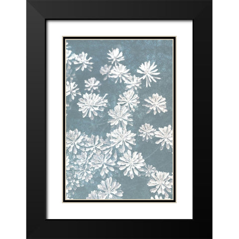 Blooms Falling Black Modern Wood Framed Art Print with Double Matting by Bailey, Ann