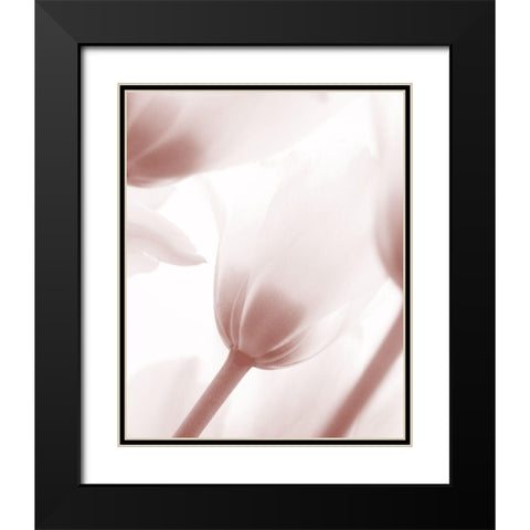 Tulip 1 Black Modern Wood Framed Art Print with Double Matting by Bailey, Ann