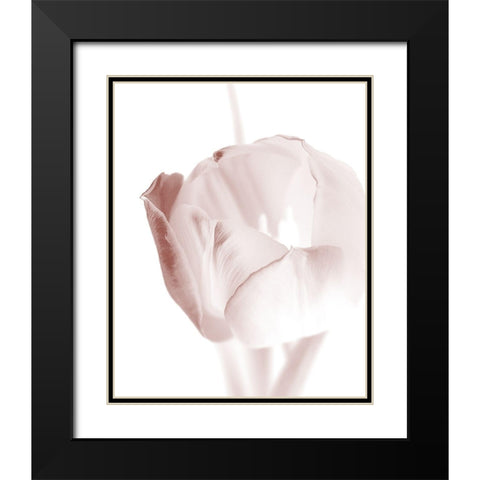 Tulip 2 Black Modern Wood Framed Art Print with Double Matting by Bailey, Ann