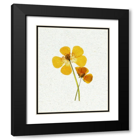 Little 1 Black Modern Wood Framed Art Print with Double Matting by Bailey, Ann