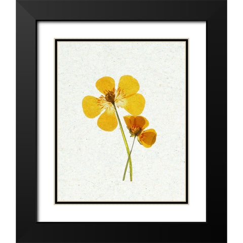 Little 1 Black Modern Wood Framed Art Print with Double Matting by Bailey, Ann