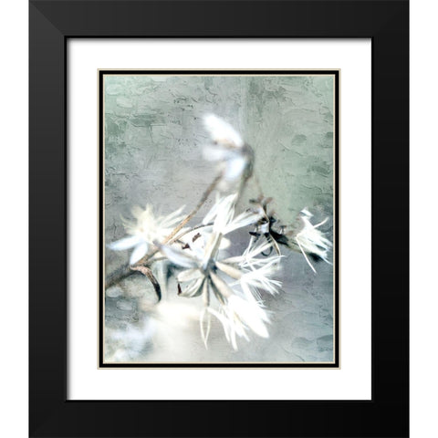 Autumn Foliage 2 Black Modern Wood Framed Art Print with Double Matting by Bailey, Ann