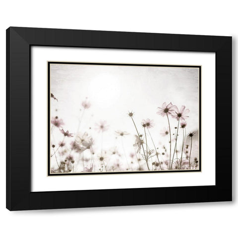 Soft Spring Black Modern Wood Framed Art Print with Double Matting by Bailey, Ann