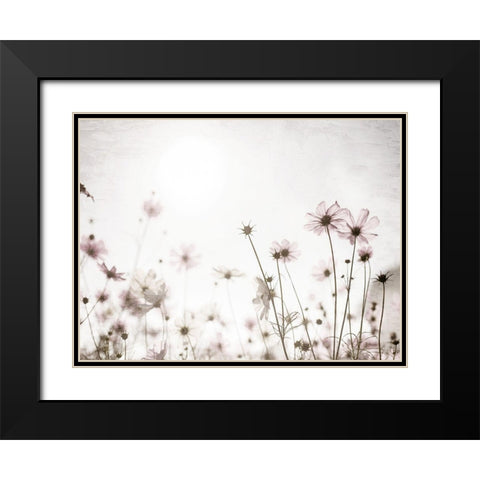 Soft Spring Black Modern Wood Framed Art Print with Double Matting by Bailey, Ann