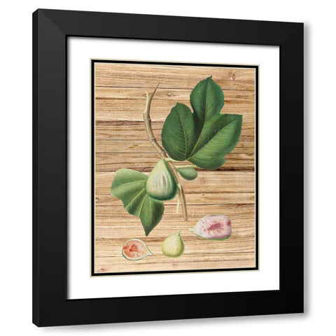 Pressed Fruit 2 Black Modern Wood Framed Art Print with Double Matting by Bailey, Ann