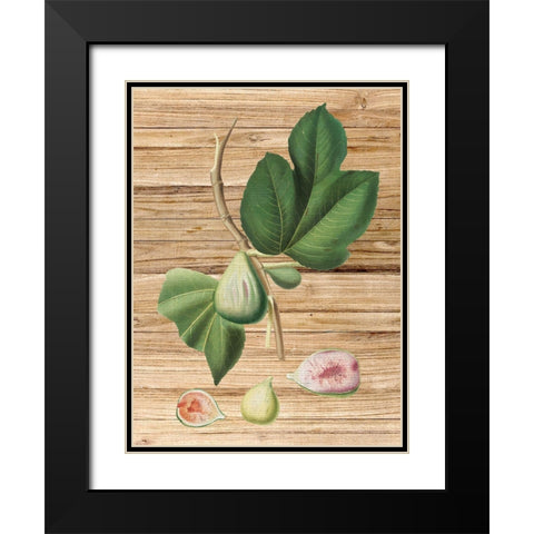 Pressed Fruit 2 Black Modern Wood Framed Art Print with Double Matting by Bailey, Ann