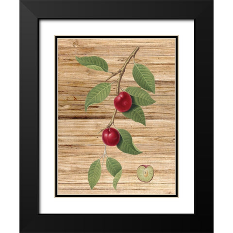 Pressed Fruit 3 Black Modern Wood Framed Art Print with Double Matting by Bailey, Ann