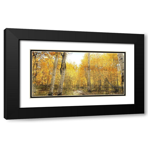 Aspen Pathway Black Modern Wood Framed Art Print with Double Matting by Bailey, Ann