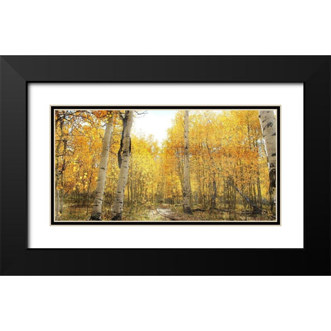 Aspen Pathway Black Modern Wood Framed Art Print with Double Matting by Bailey, Ann