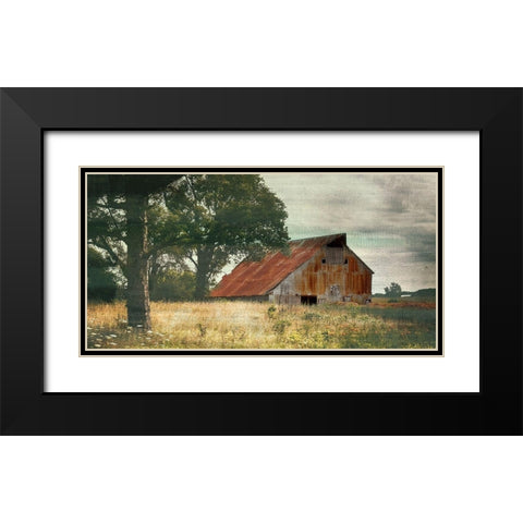 Country Life Black Modern Wood Framed Art Print with Double Matting by Bailey, Ann