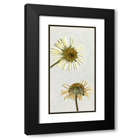 Happy 2 Black Modern Wood Framed Art Print with Double Matting by Bailey, Ann