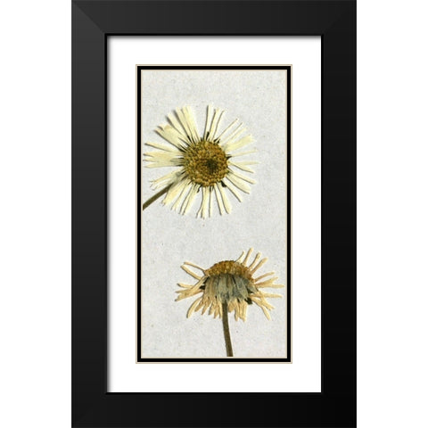 Happy 2 Black Modern Wood Framed Art Print with Double Matting by Bailey, Ann
