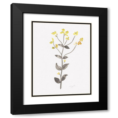 Wildflower Organics V Black Modern Wood Framed Art Print with Double Matting by Kimberly, Allen