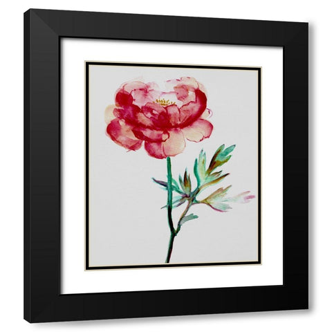 Red Peony Black Modern Wood Framed Art Print with Double Matting by Boho Hue Studio