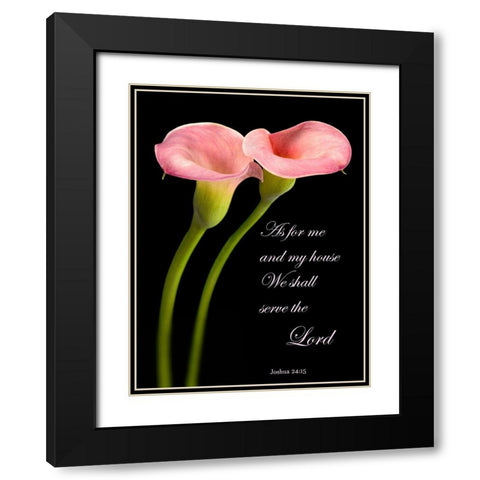 Joshua 24.15 Calla Lilies Black Modern Wood Framed Art Print with Double Matting by Seidman, Barry