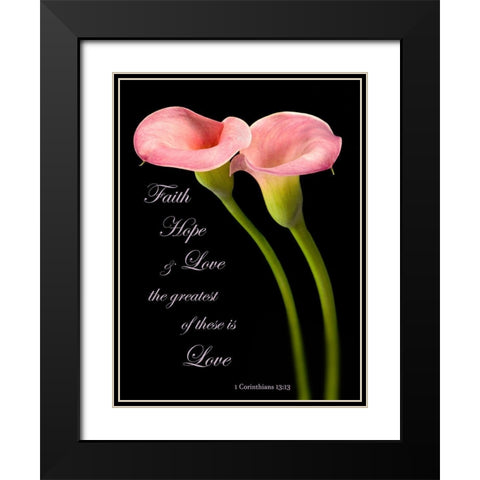 The Greatest Calla Lilies Black Modern Wood Framed Art Print with Double Matting by Seidman, Barry
