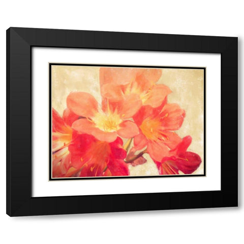 Sun Fire Florals Black Modern Wood Framed Art Print with Double Matting by Alvarez, Cynthia