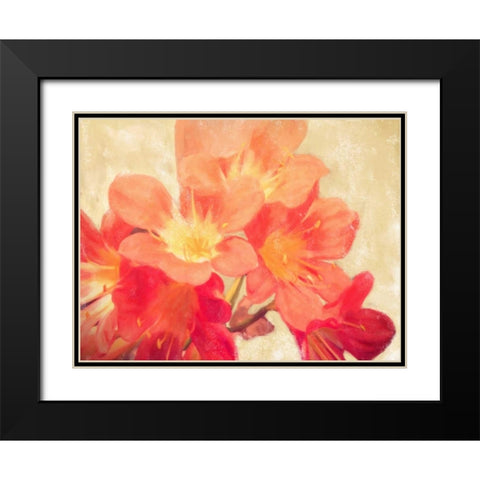 Sun Fire Florals Black Modern Wood Framed Art Print with Double Matting by Alvarez, Cynthia