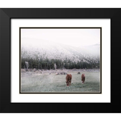 Grazing Black Modern Wood Framed Art Print with Double Matting by Alvarez, Cynthia