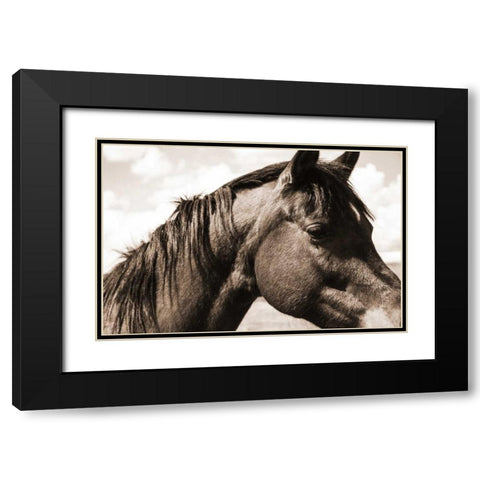 Solitary Horse Black Modern Wood Framed Art Print with Double Matting by Alvarez, Cynthia