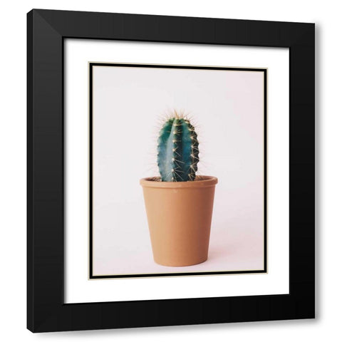 Lonely Cactus Black Modern Wood Framed Art Print with Double Matting by Alvarez, Cynthia