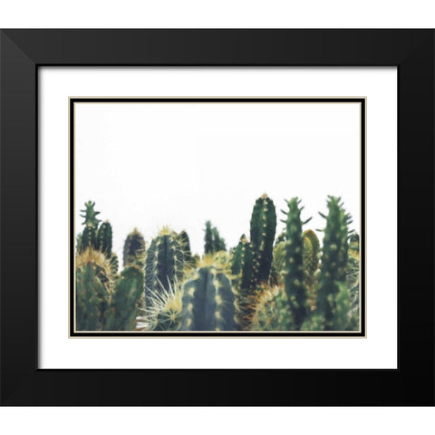 Prickly Field Black Modern Wood Framed Art Print with Double Matting by Alvarez, Cynthia