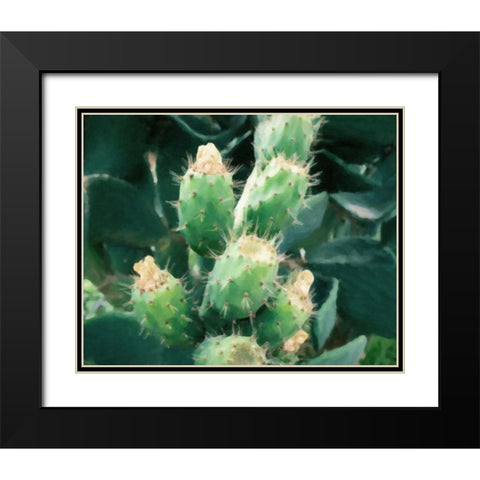 Sharp Needles Black Modern Wood Framed Art Print with Double Matting by Alvarez, Cynthia