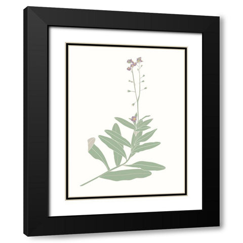 Wildflower Forget Me Nots Black Modern Wood Framed Art Print with Double Matting by Sweet Melody Designs