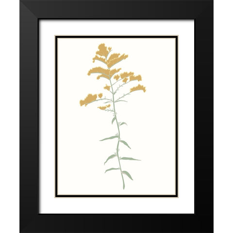 Wildflower Goldenrod Black Modern Wood Framed Art Print with Double Matting by Sweet Melody Designs