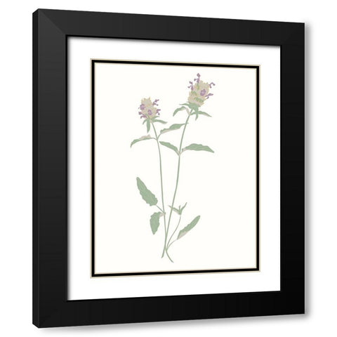 Wildflowers Heal All Black Modern Wood Framed Art Print with Double Matting by Sweet Melody Designs