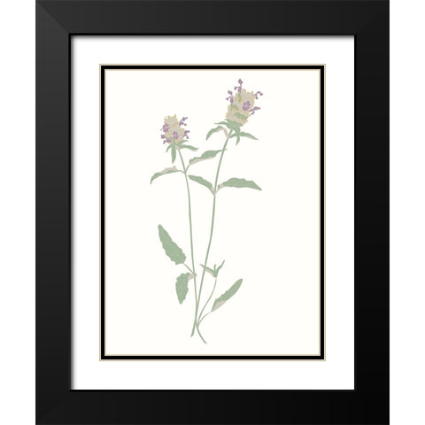 Wildflowers Heal All Black Modern Wood Framed Art Print with Double Matting by Sweet Melody Designs