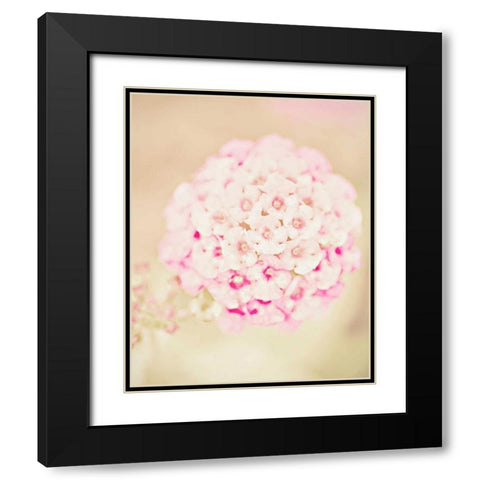 Pink Flower Ball Black Modern Wood Framed Art Print with Double Matting by Davis Ashley