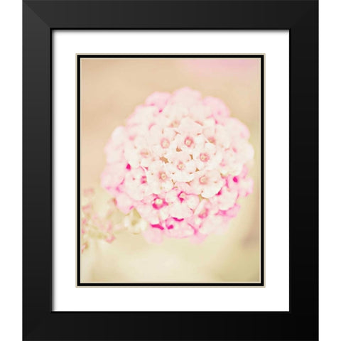 Pink Flower Ball Black Modern Wood Framed Art Print with Double Matting by Davis Ashley
