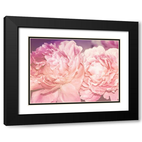 Pink Peony Black Modern Wood Framed Art Print with Double Matting by Davis Ashley