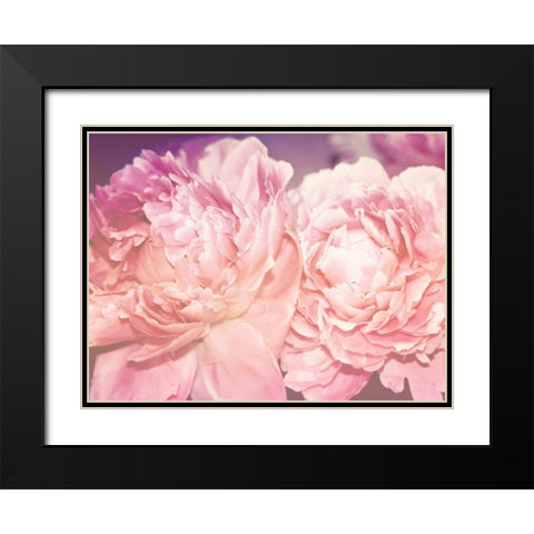 Pink Peony Black Modern Wood Framed Art Print with Double Matting by Davis Ashley