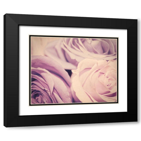 Purple vintage roses Black Modern Wood Framed Art Print with Double Matting by Davis Ashley