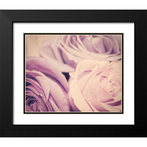 Purple vintage roses Black Modern Wood Framed Art Print with Double Matting by Davis Ashley