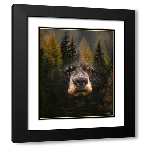 Through The Trees Black Modern Wood Framed Art Print with Double Matting by Brown, Denise